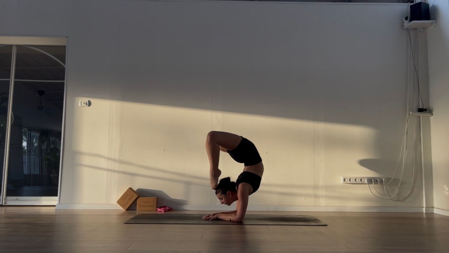 Scorpion Flow